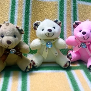 Teddy Keychains